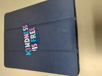 CS823/2024 IPAD